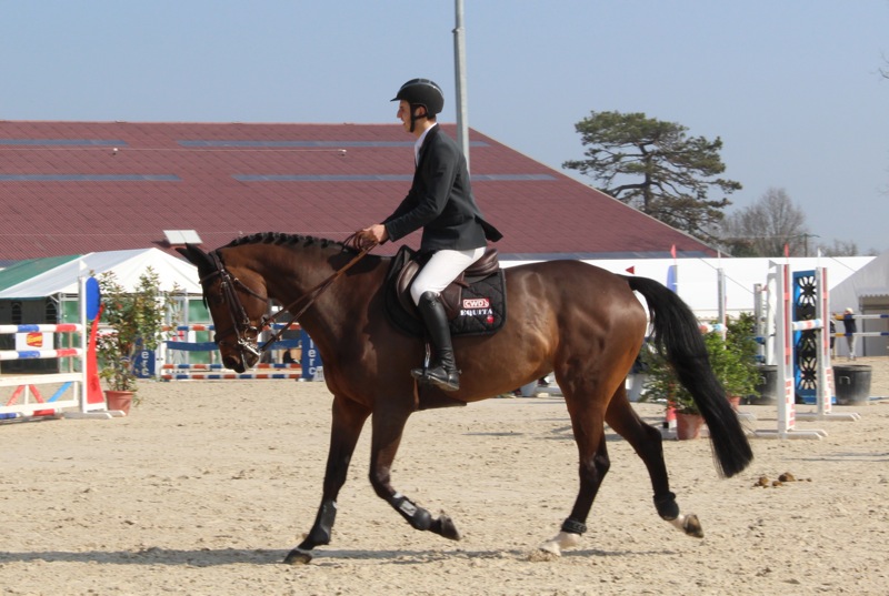 DRESSAGE_CHAINTRE1.jpg