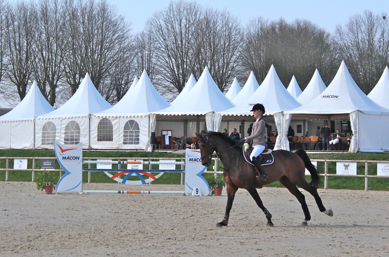 DRESSAGE_CHAINTRE2.jpg