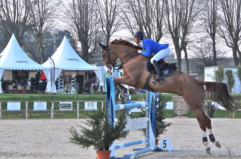 DRESSAGE_CHAINTRE3.jpg