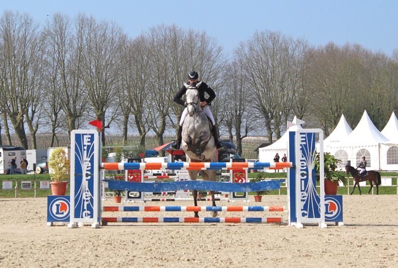 DRESSAGE_CHAINTRE4.jpg