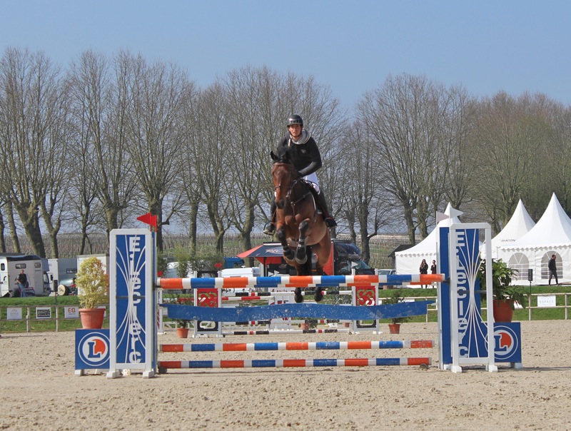 DRESSAGE_CHAINTRE5.jpg