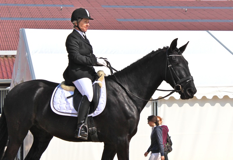 DRESSAGE_CHAINTRE6.jpg