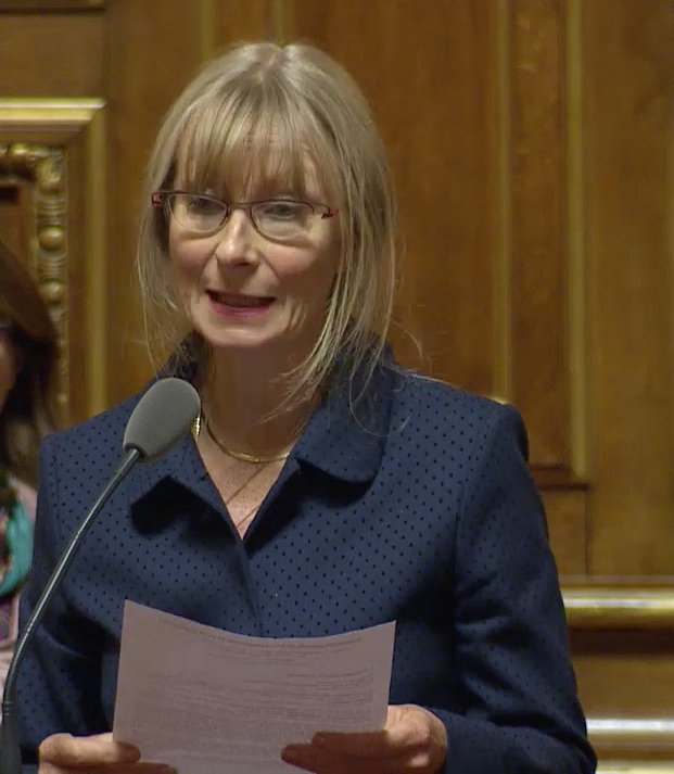 MARIE MERCIER SENAT.jpg