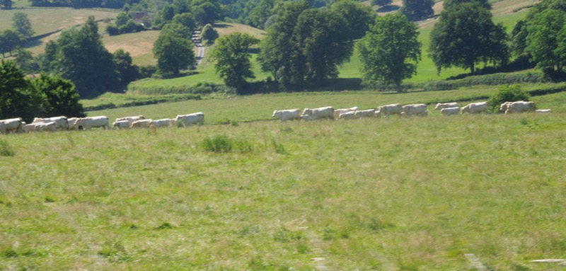 ROUTE SAONE LOIRE - 2.jpg