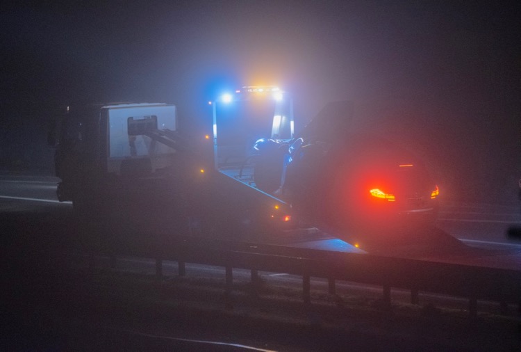 SANGLIER AUTOROUTE - 1.jpg