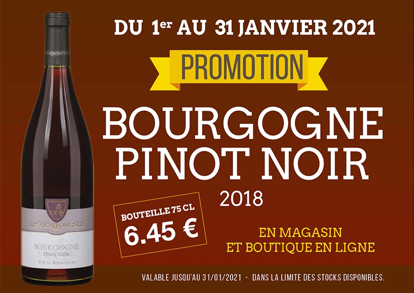 vignerons ige-bourgogne-macon-info-janvier2021.jpg